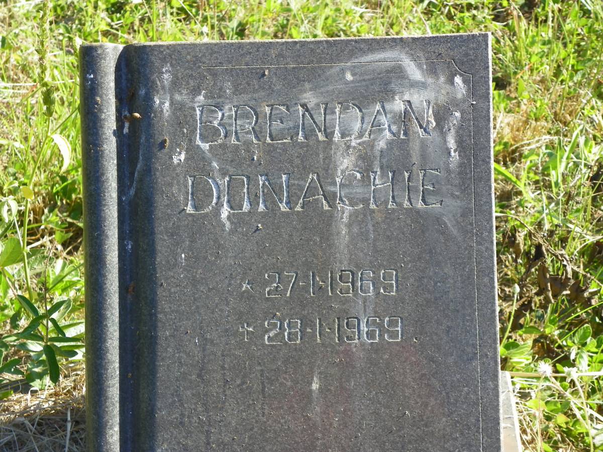 DONACHIE Brendan 1969-1969