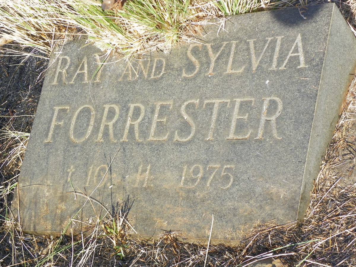 FORRESTER Ray -1975 &amp; Sylvia -1975