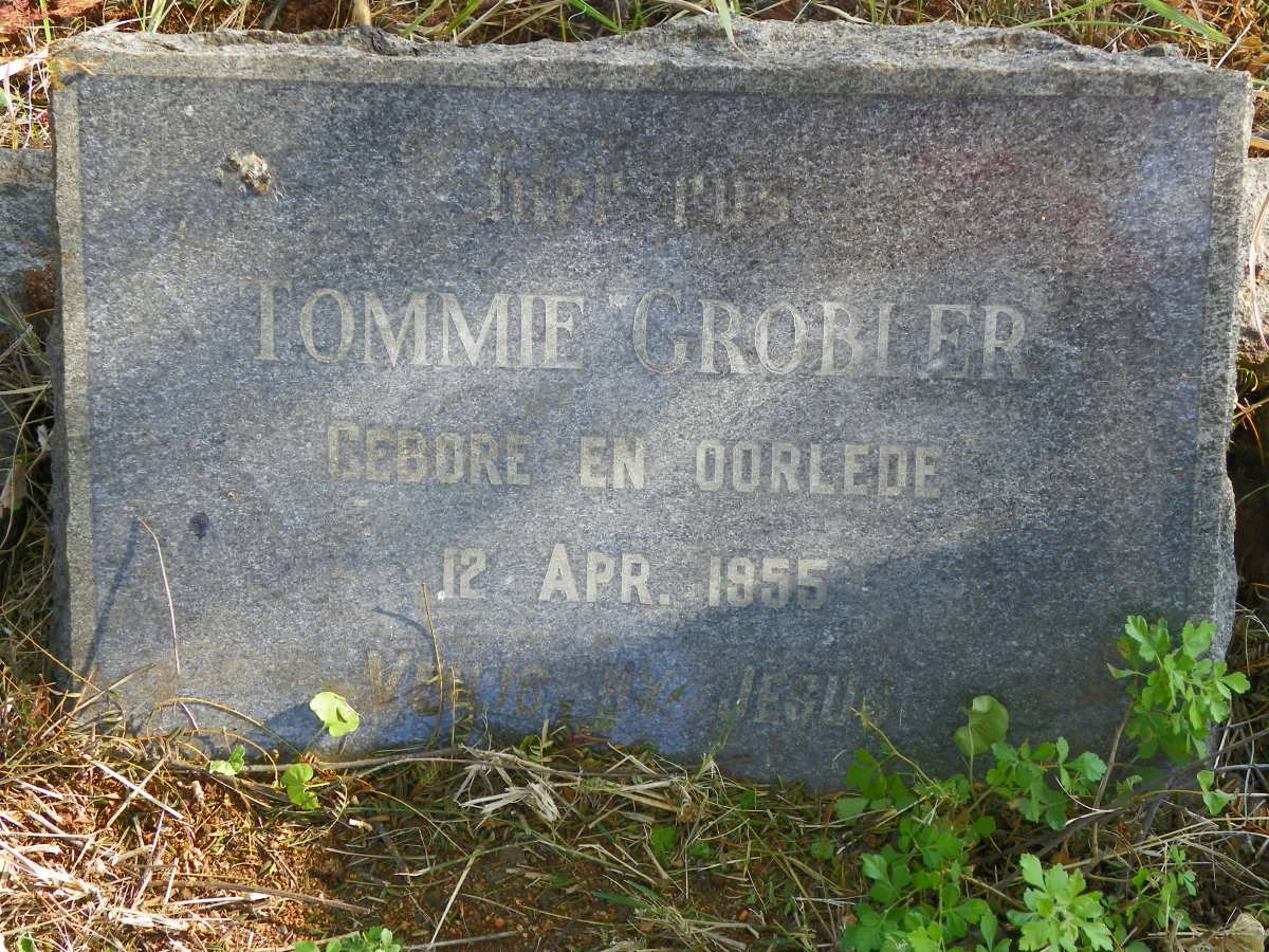 GROBLER Tommie 1955-1955