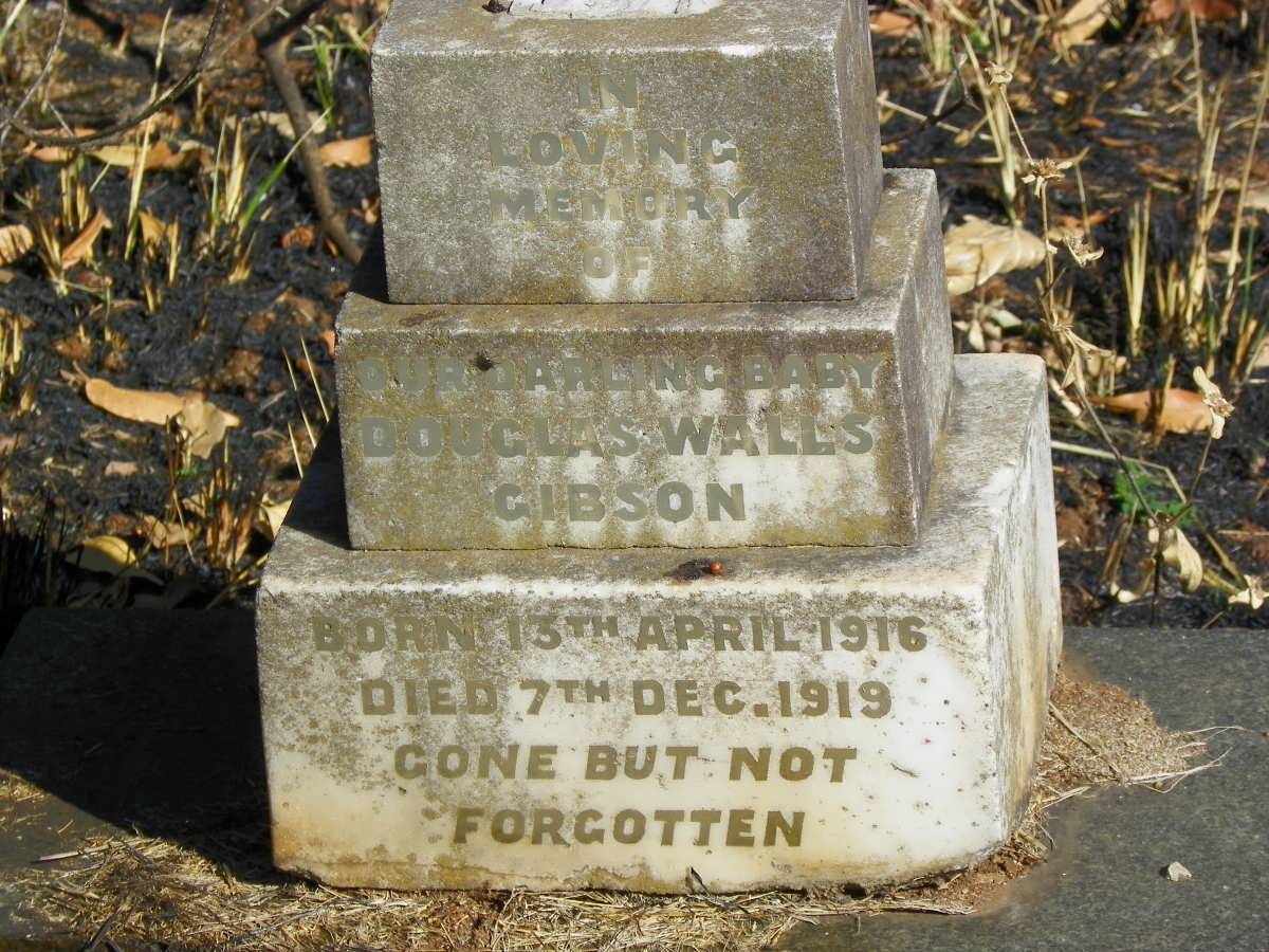 GIBSON Douglas Walls 1916-1919