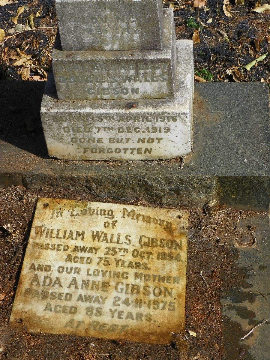 GIBSON Family grave