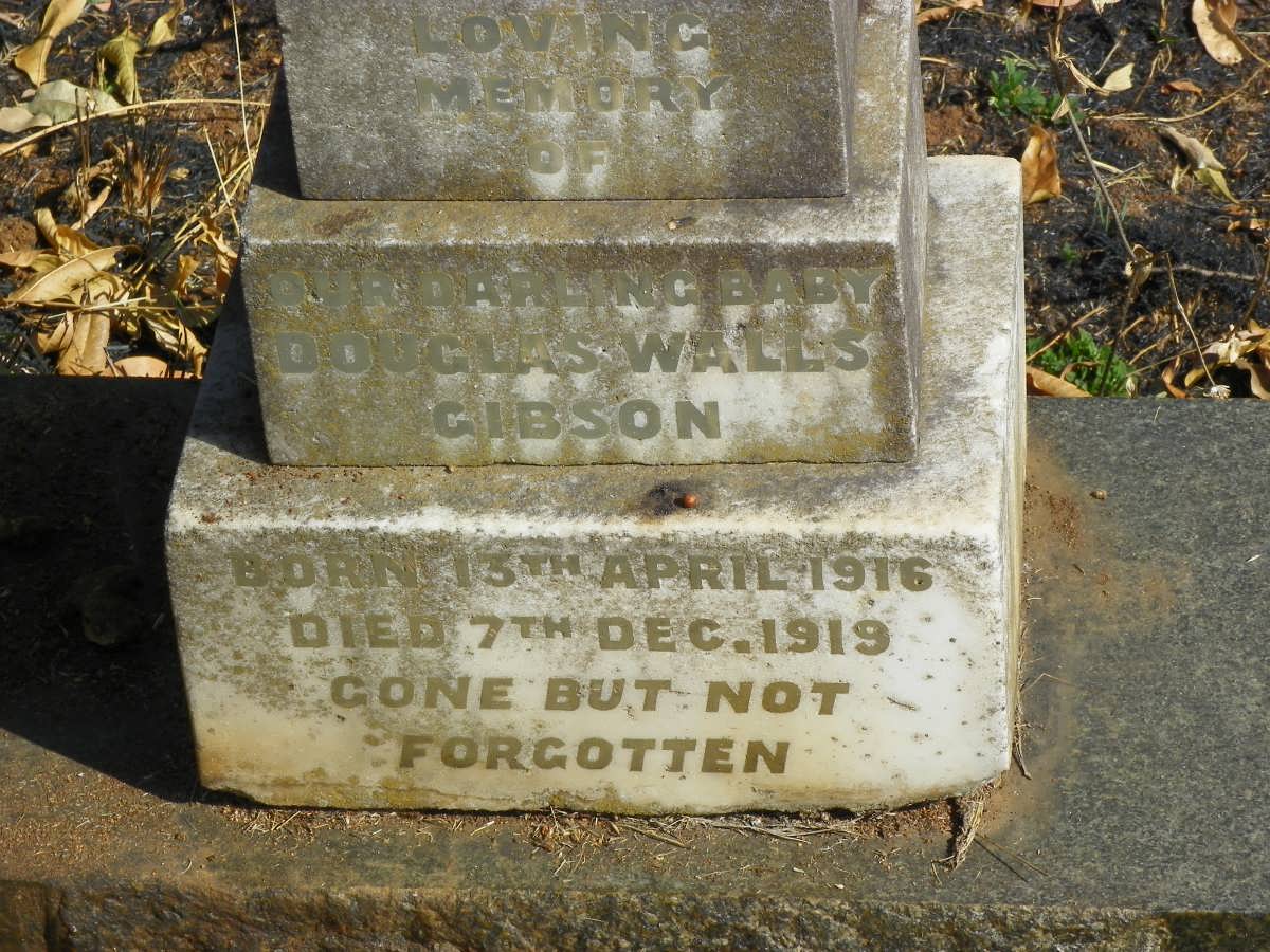 GIBSON Douglas Walls 1916-1919