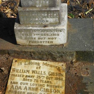 GIBSON William Walls -1954 & Ada Anne -1975 :: GIBSON Douglas Walls 1916-1919