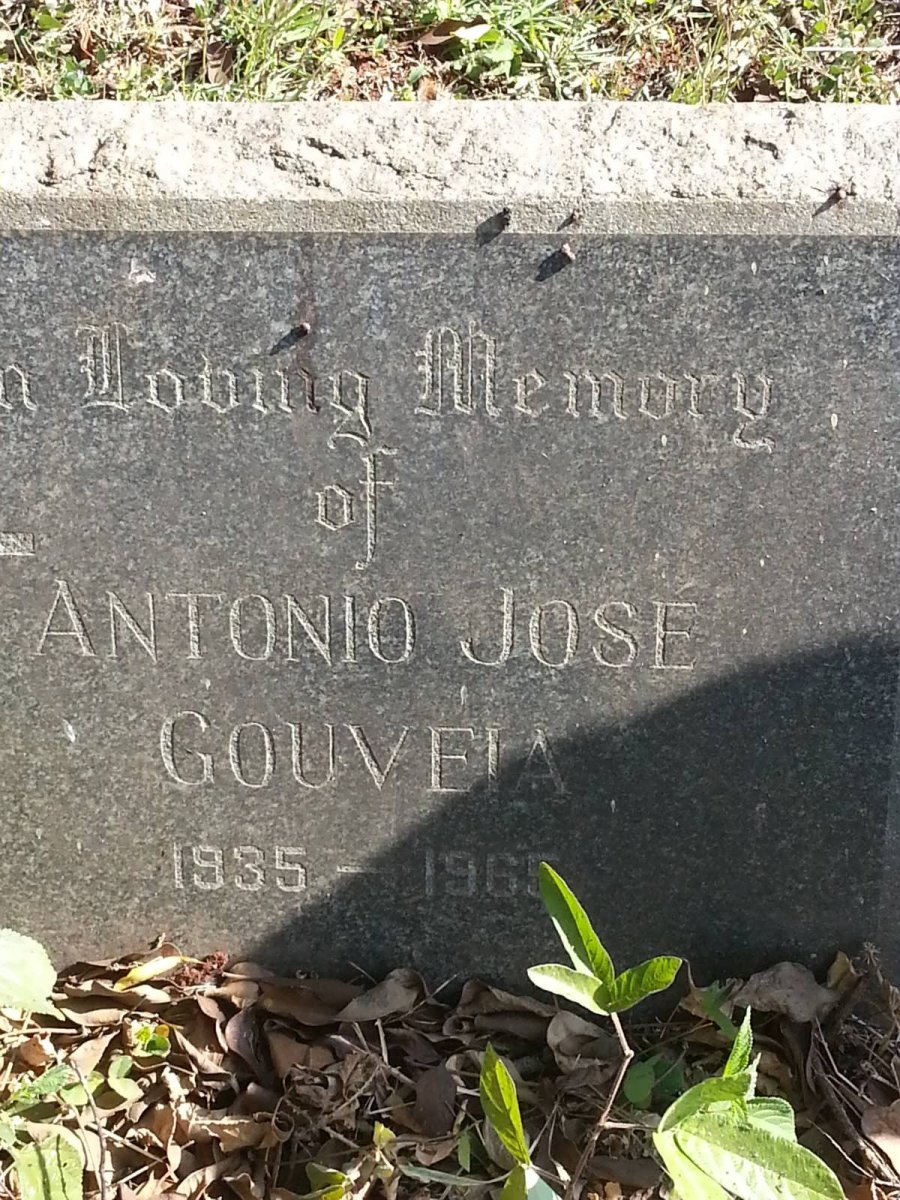 GOUVEIA Antonio Jose 1935-1965