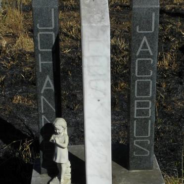 HESKES Johannes Jacobus 1946-1988