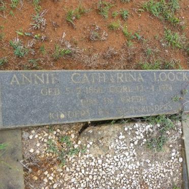 LOOCK Annie Catharina 1888-1974