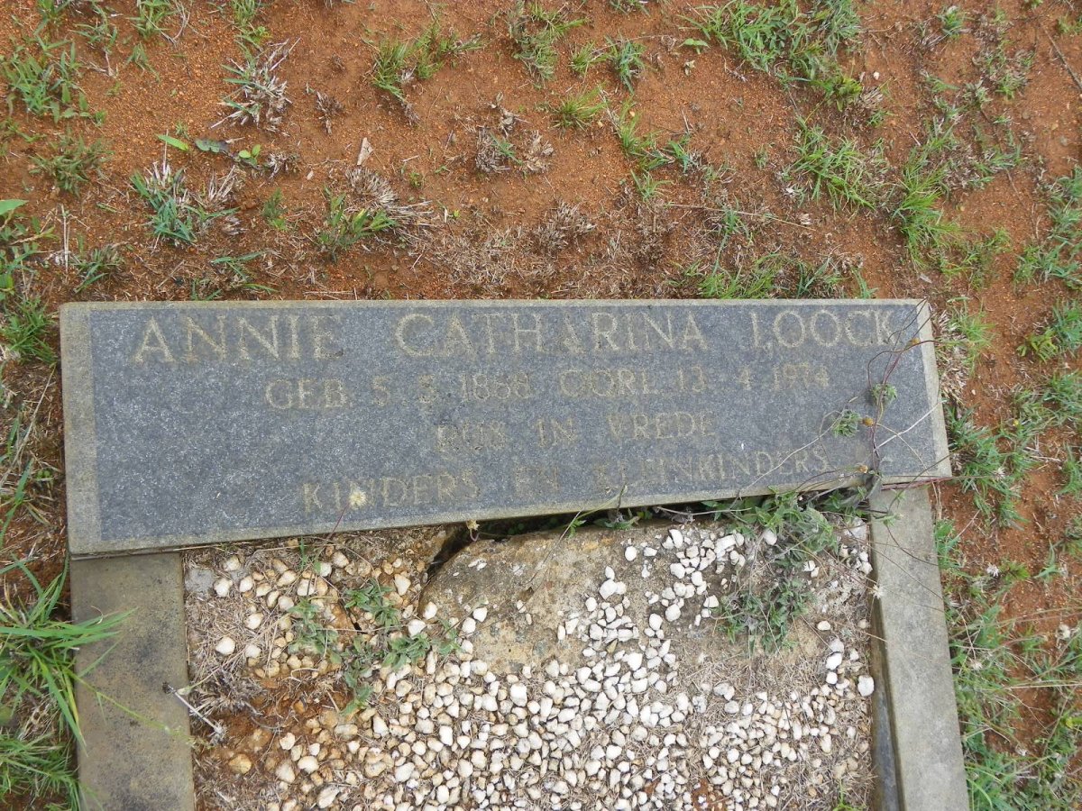 LOOCK Annie Catharina 1888-1974