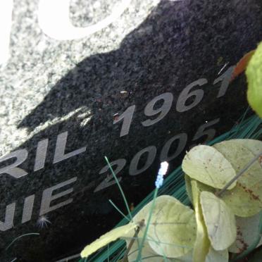 LOUW Pieter Francois 1961-2005