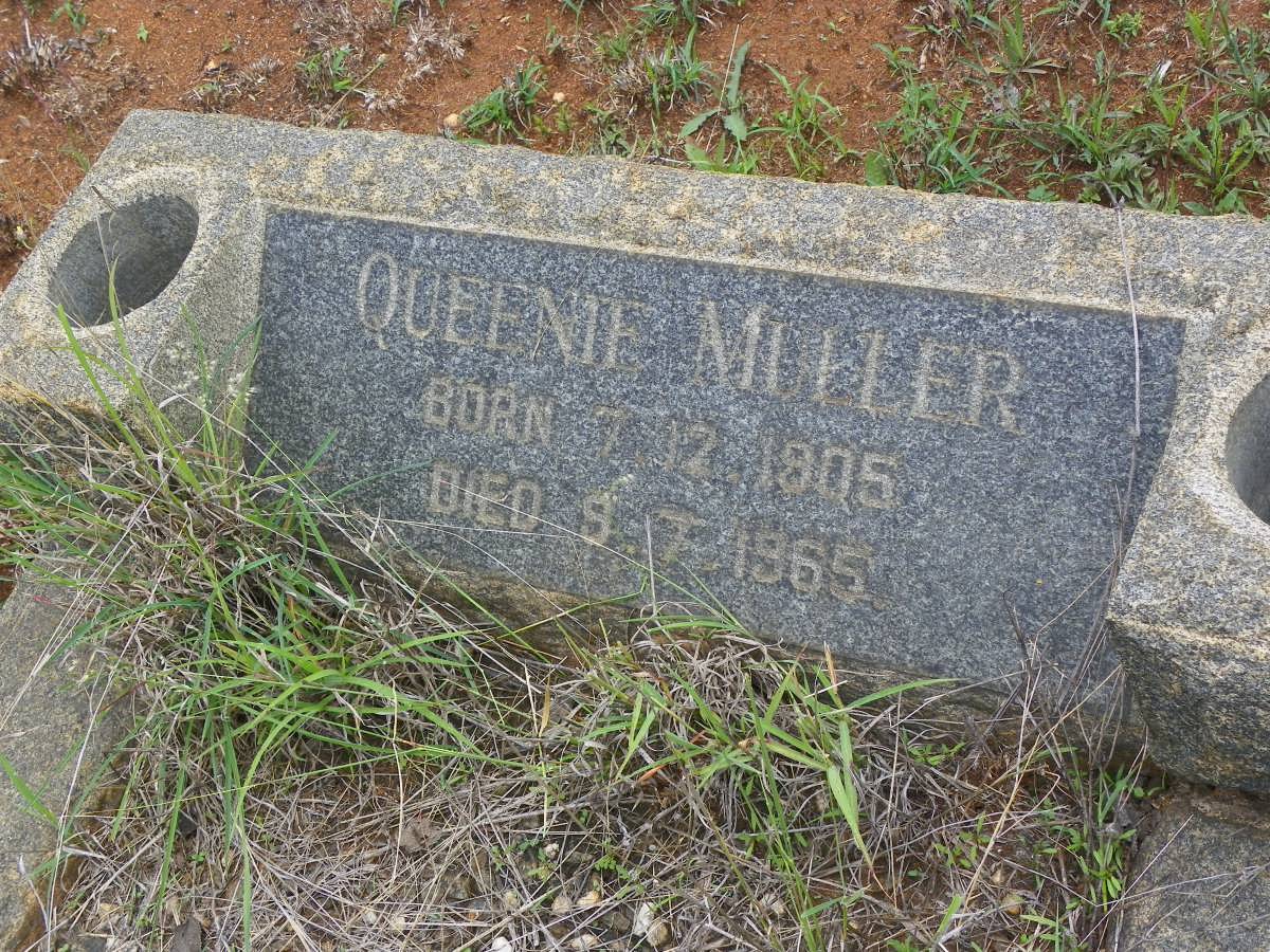 MULLER Queenie 1905-1965