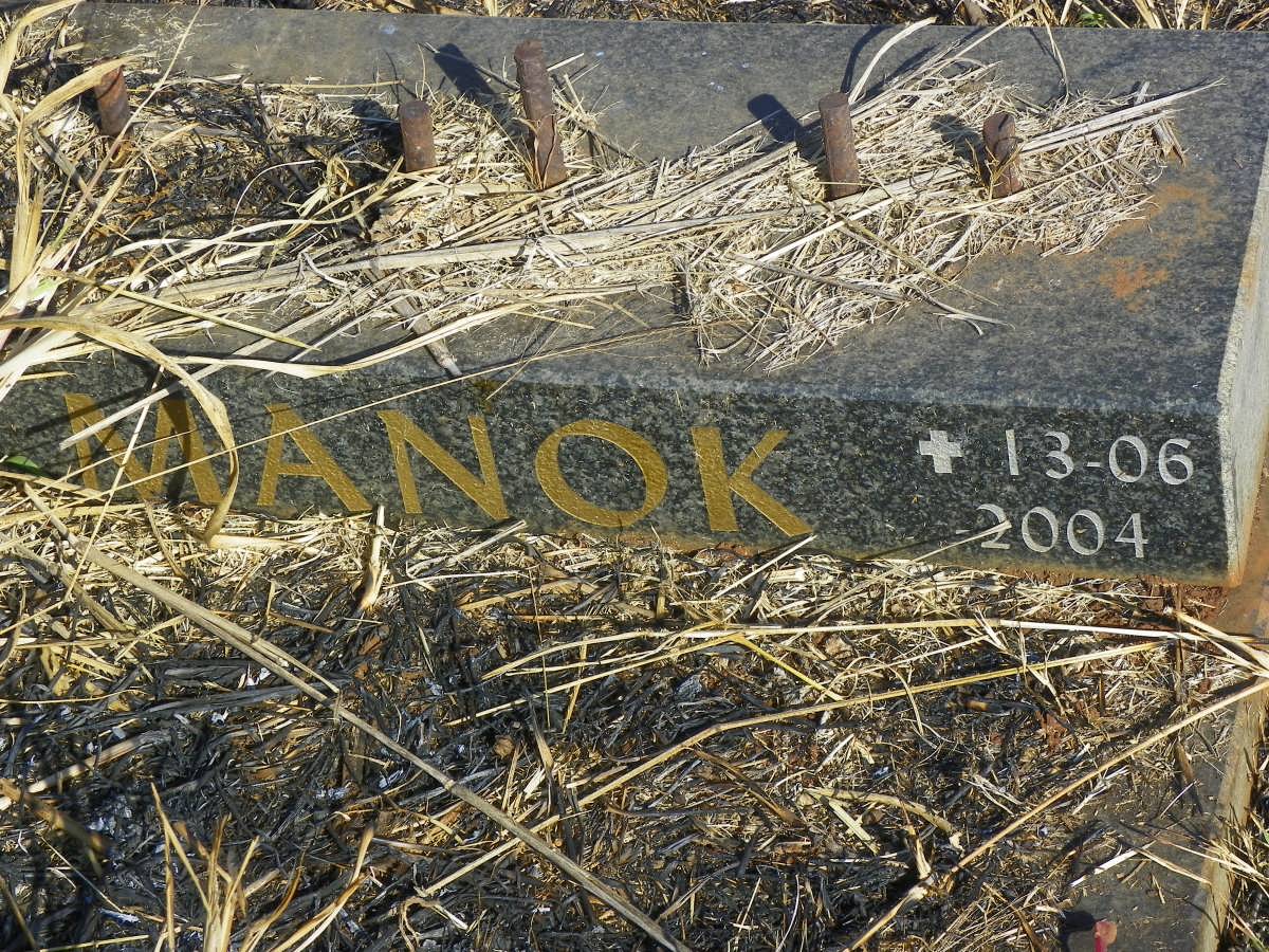 MANOK -2004