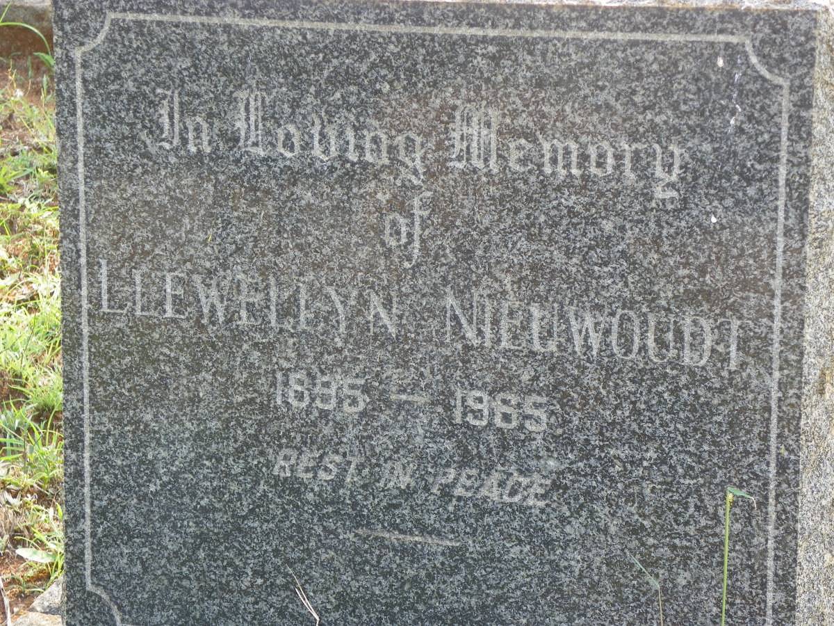 NIEUWOUDT Llewellyn 1895-1965