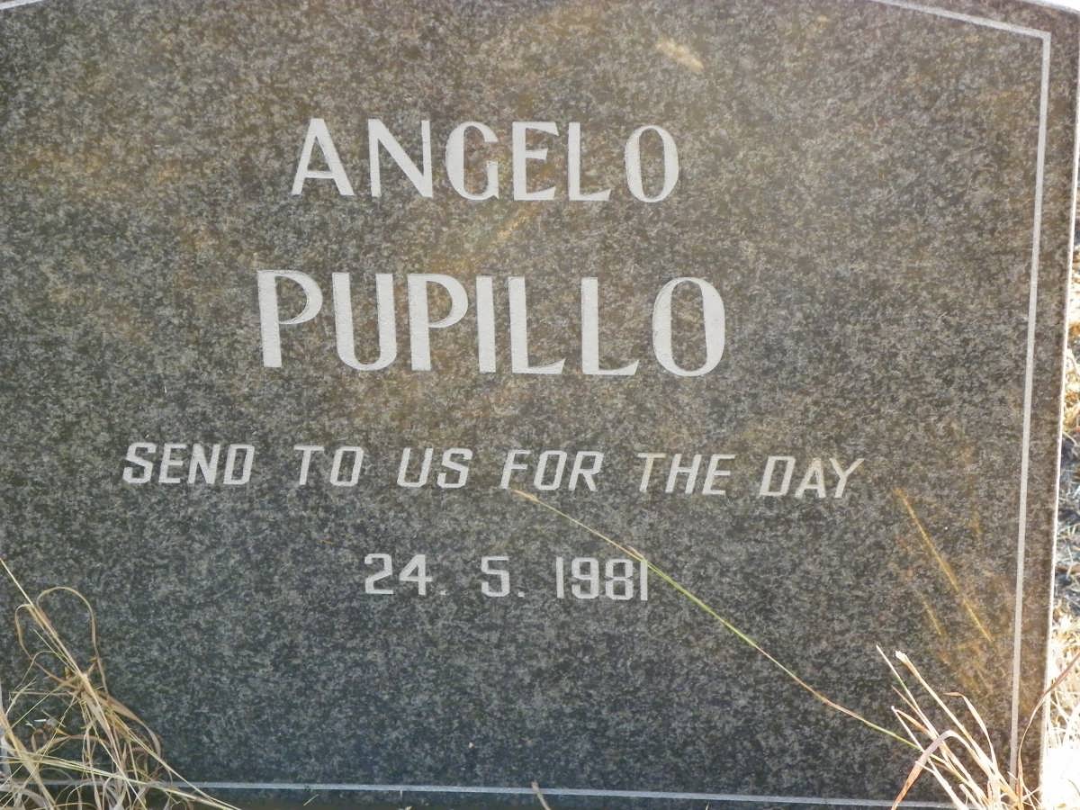 PUPILLO Angelo 1981-1981