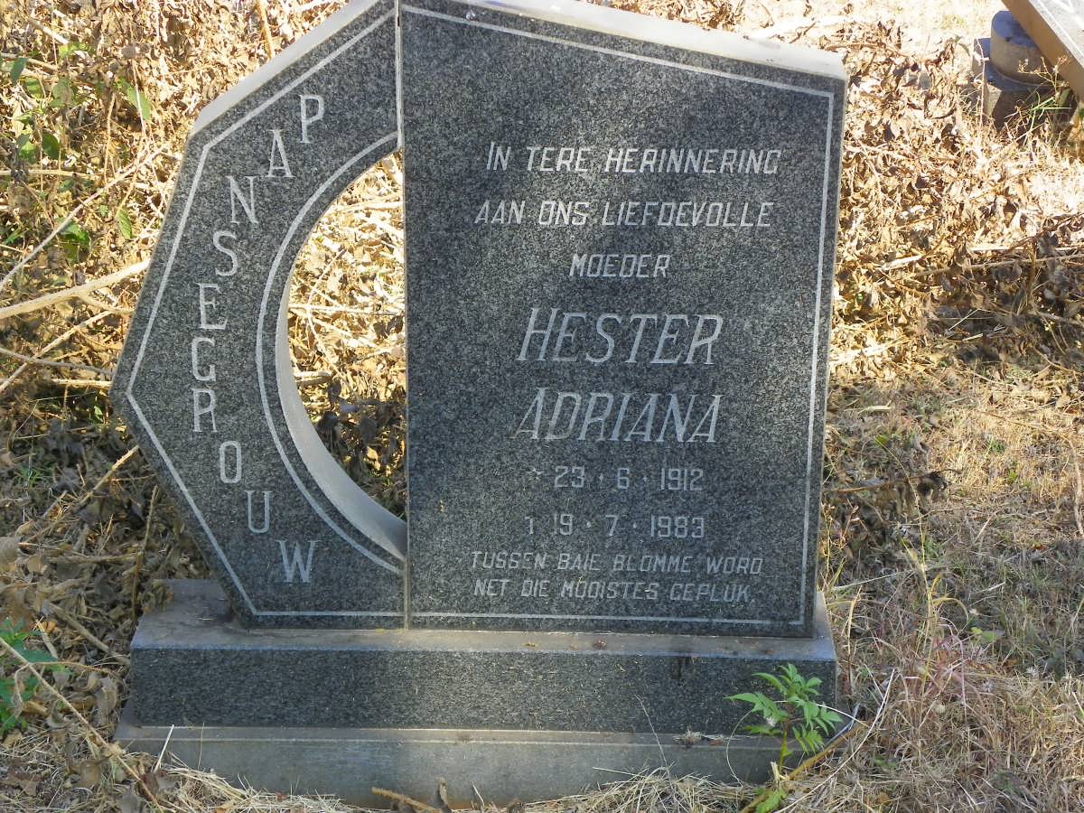 PANSEGROUW Hester Adriana 1912-1983