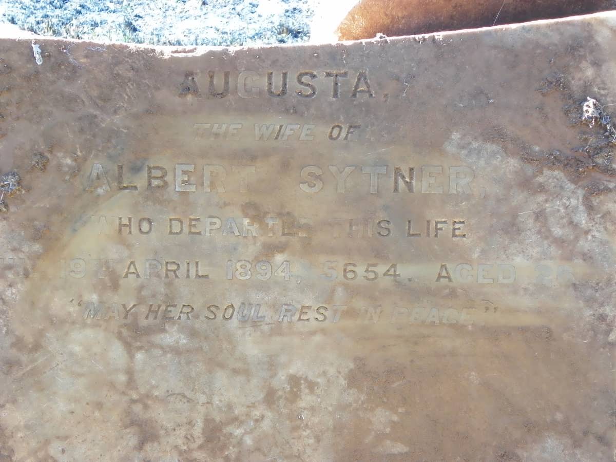 SYTNER Augusta -1894, 5654