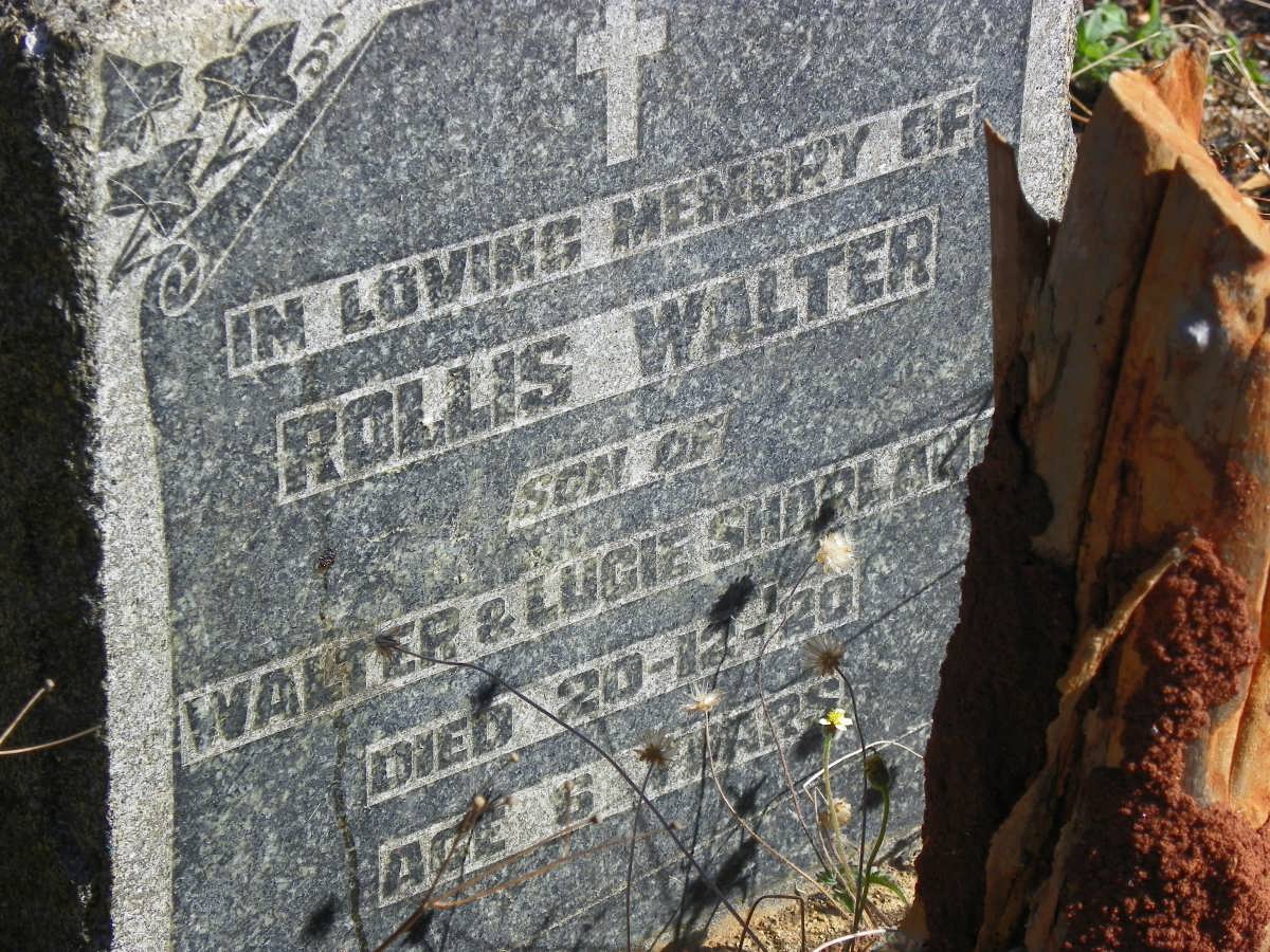 SHARLAND Rollis Walter -1920
