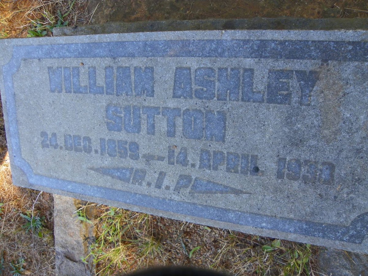 SUTTON William Ashley 1859-1938
