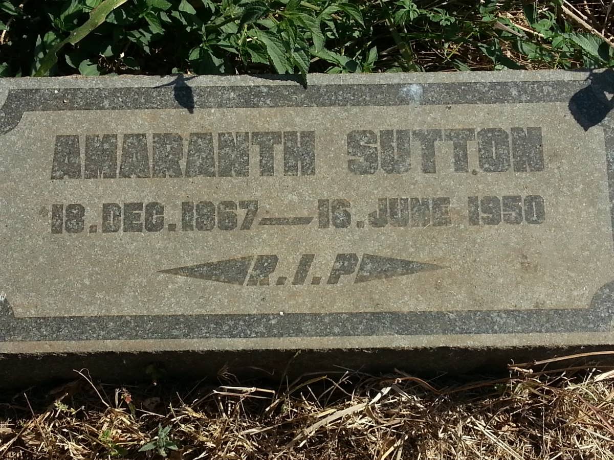 SUTTON Amaranth 1867-1950