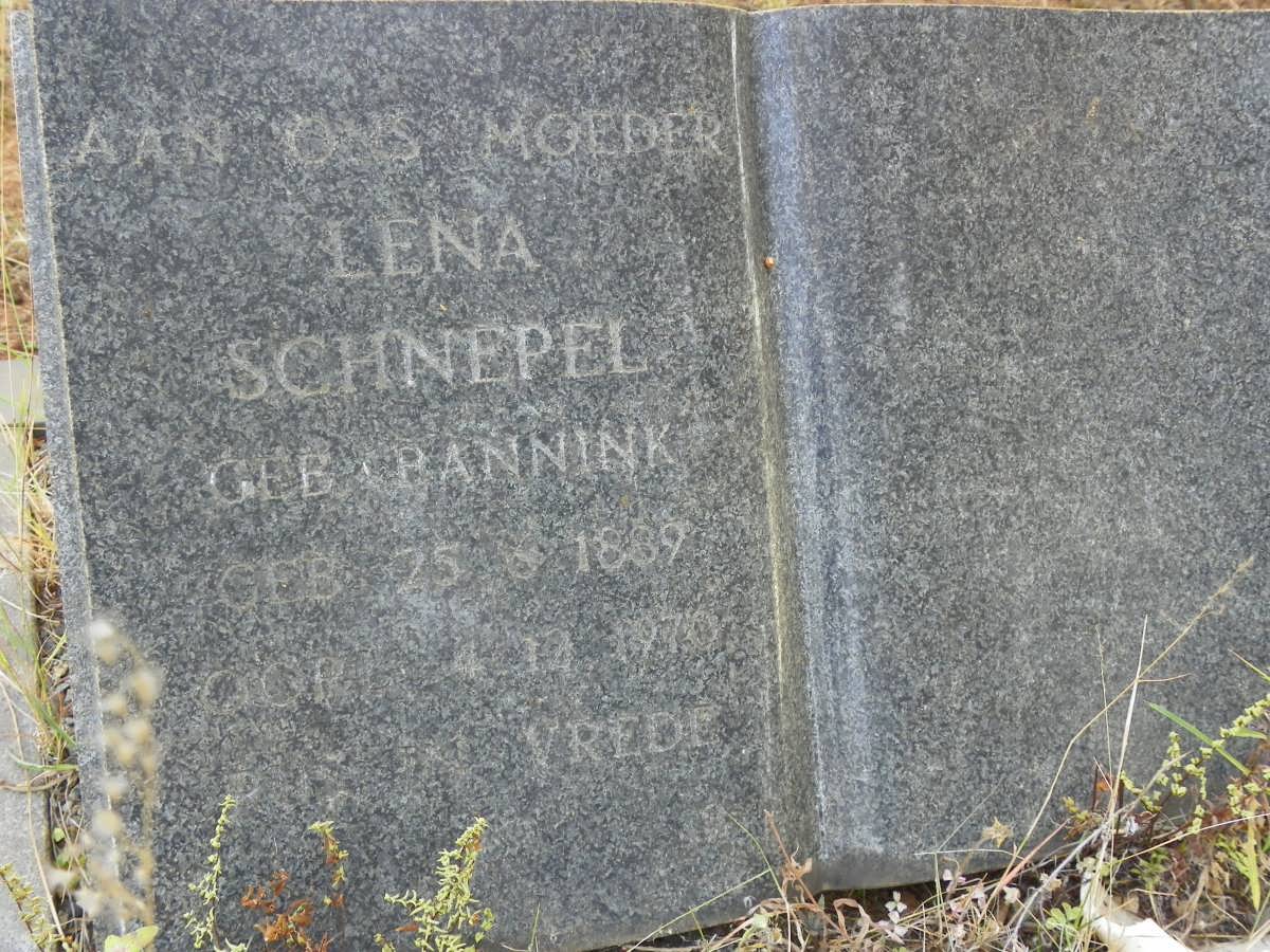 SCHNEPEL Lena nee BANNINK 1889-1970