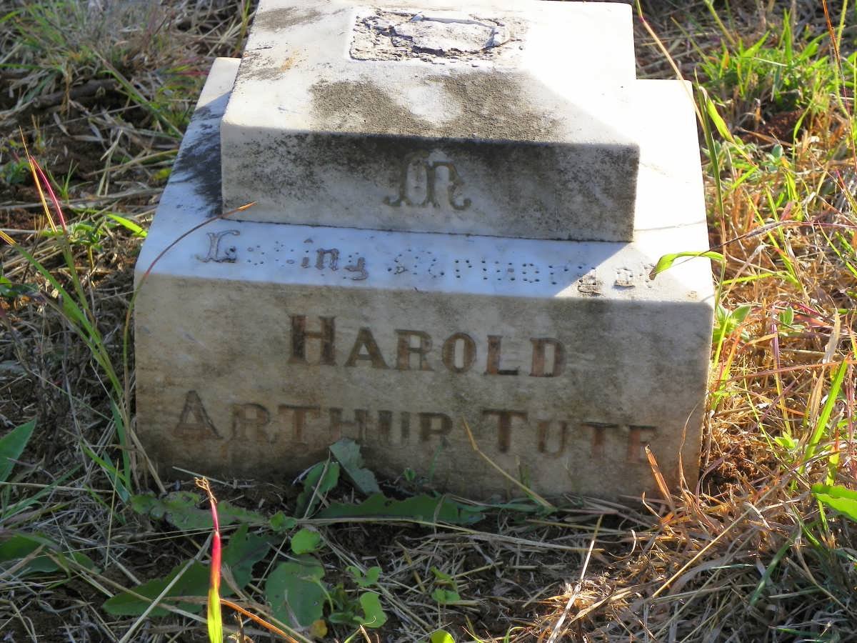 TUTE Harold Arthur