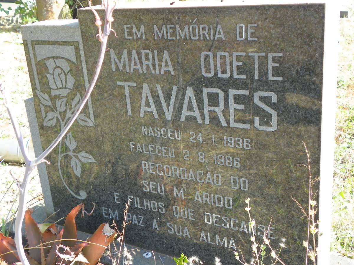TAVARES Maria Odete 1936-1986