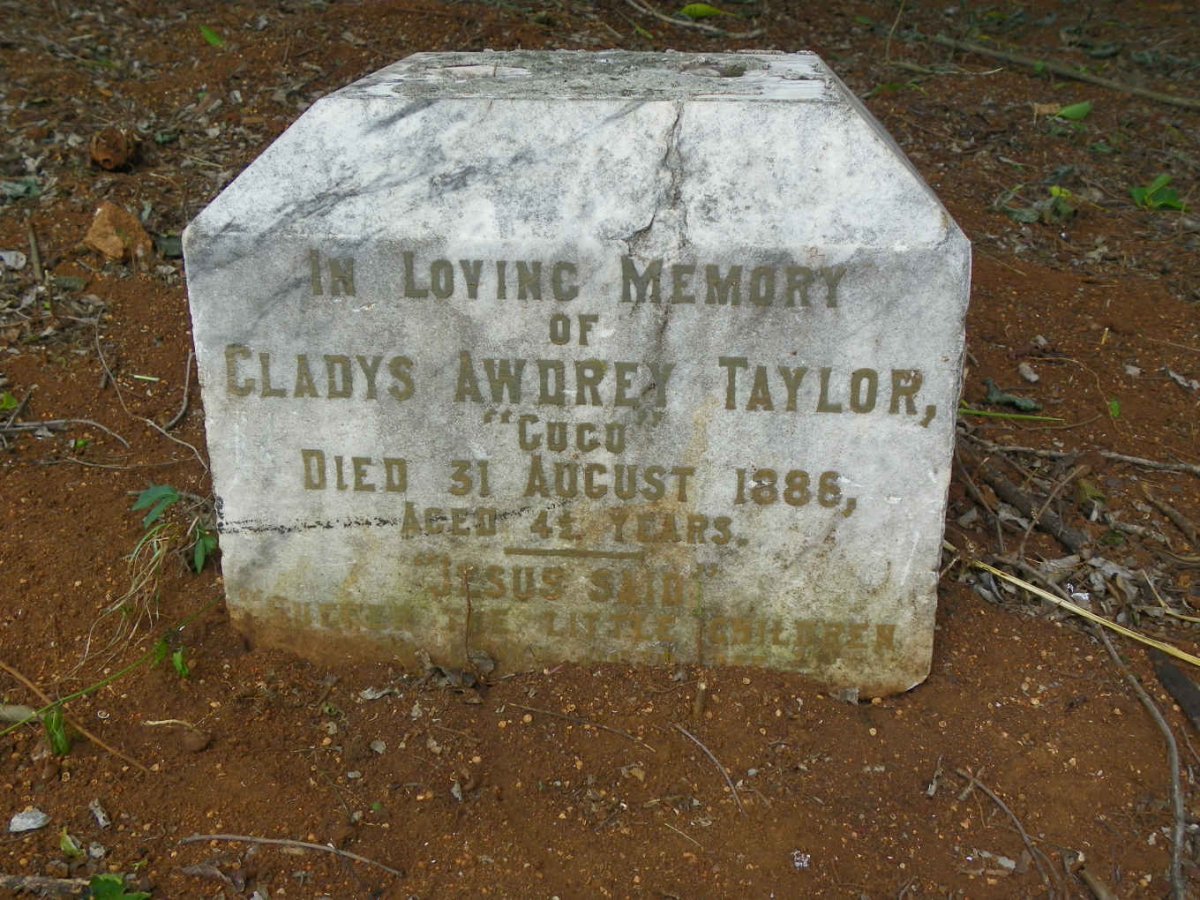 TAYLOR Gladys Awdrey -1886