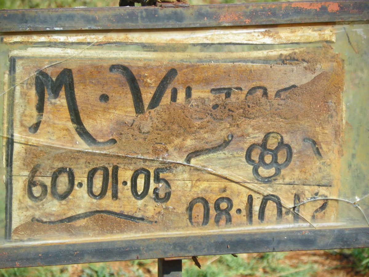 VILJOEN M. 1960-2008