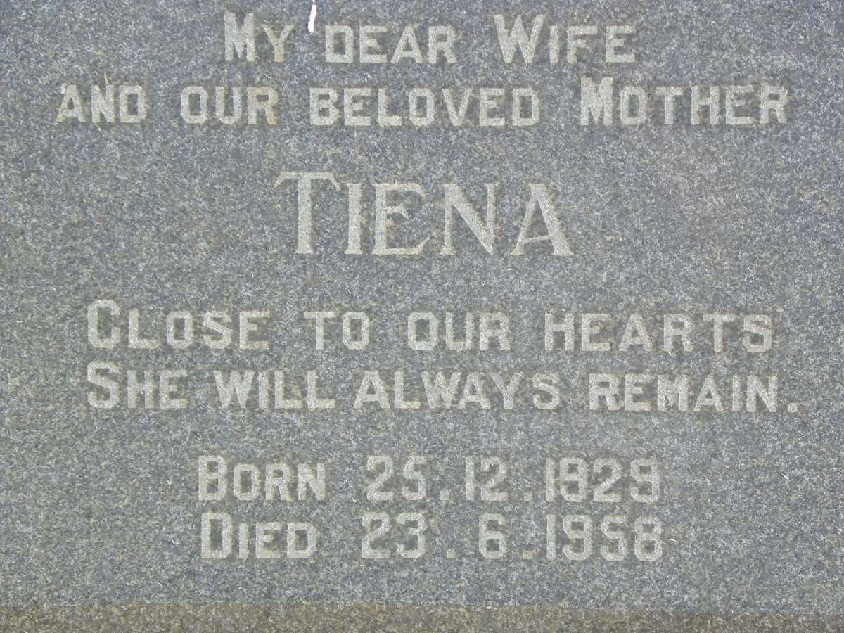 ? Tiena 1929-1958
