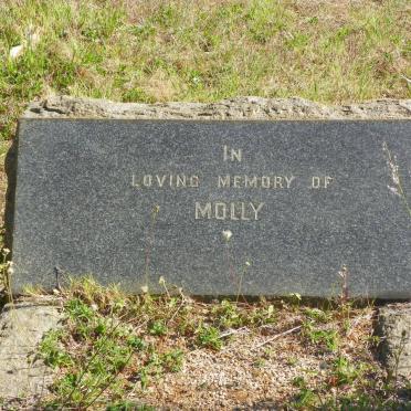 ? Molly