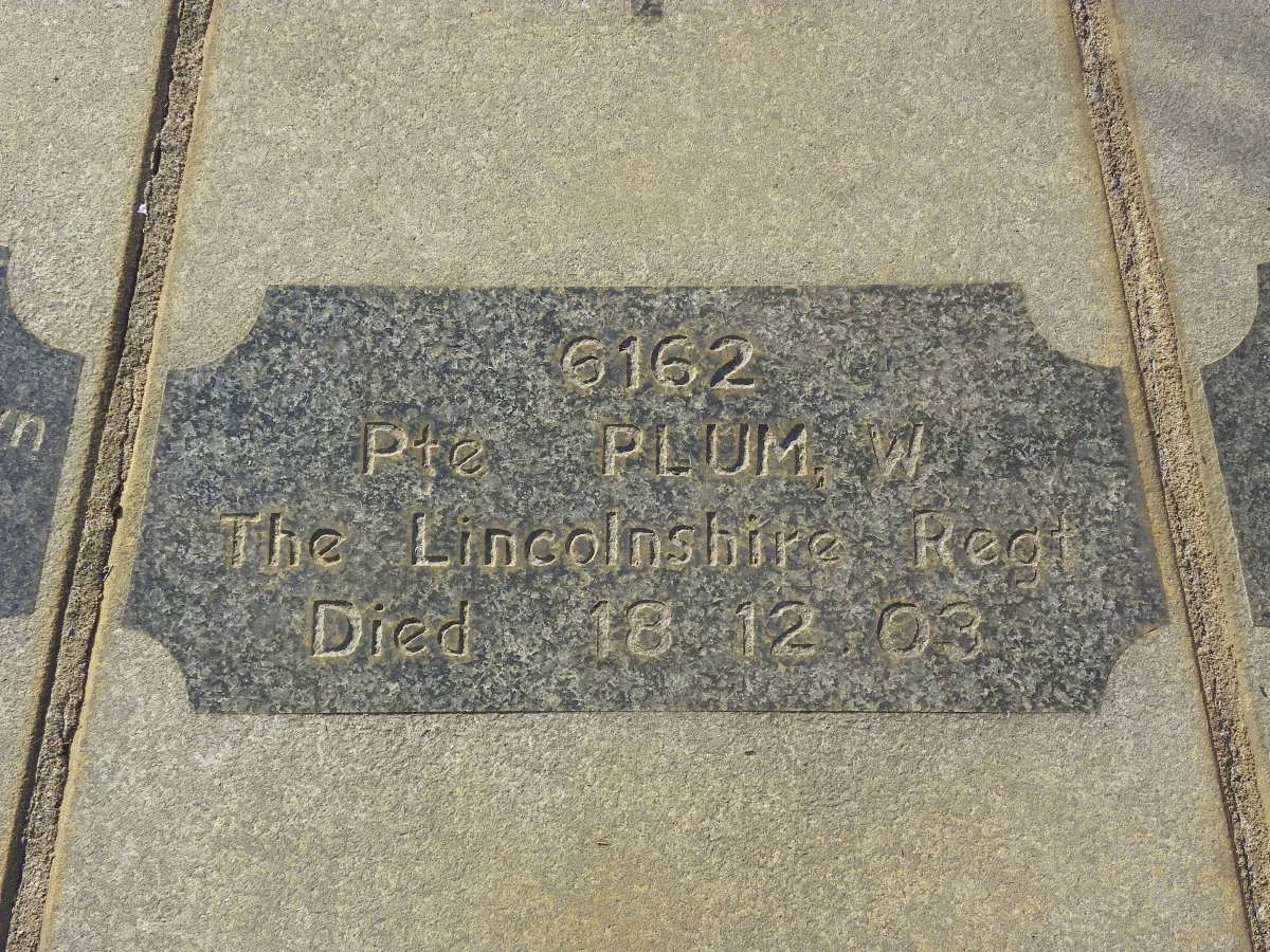 PLUM W. -1903