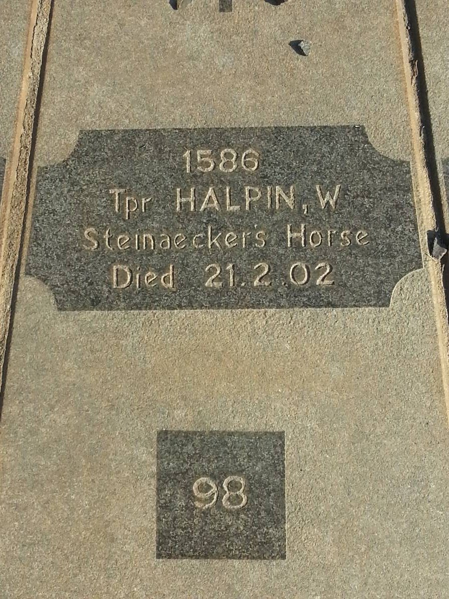 HALPIN W. -1902