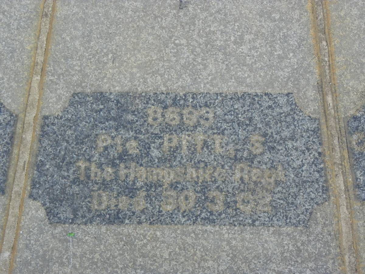PITT S. -1902