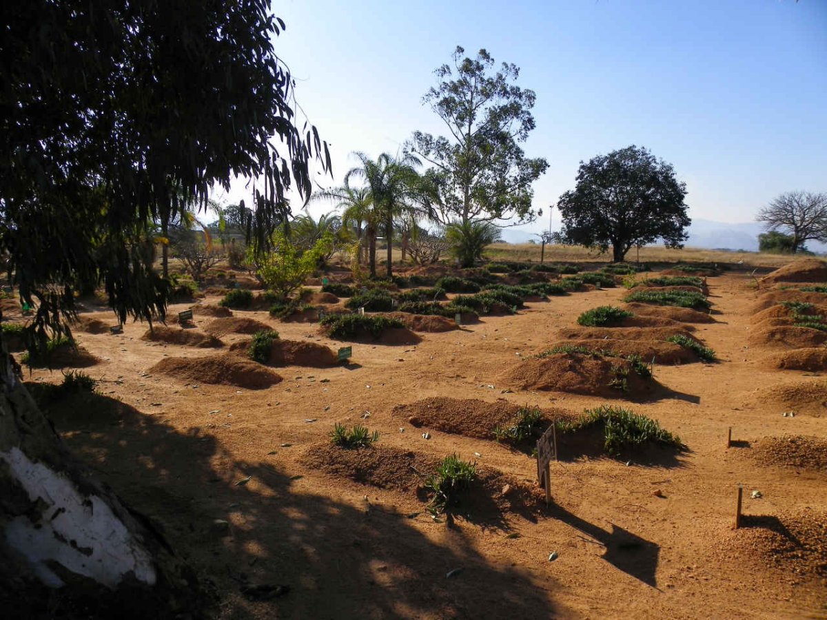 2. Overview - Muslim section