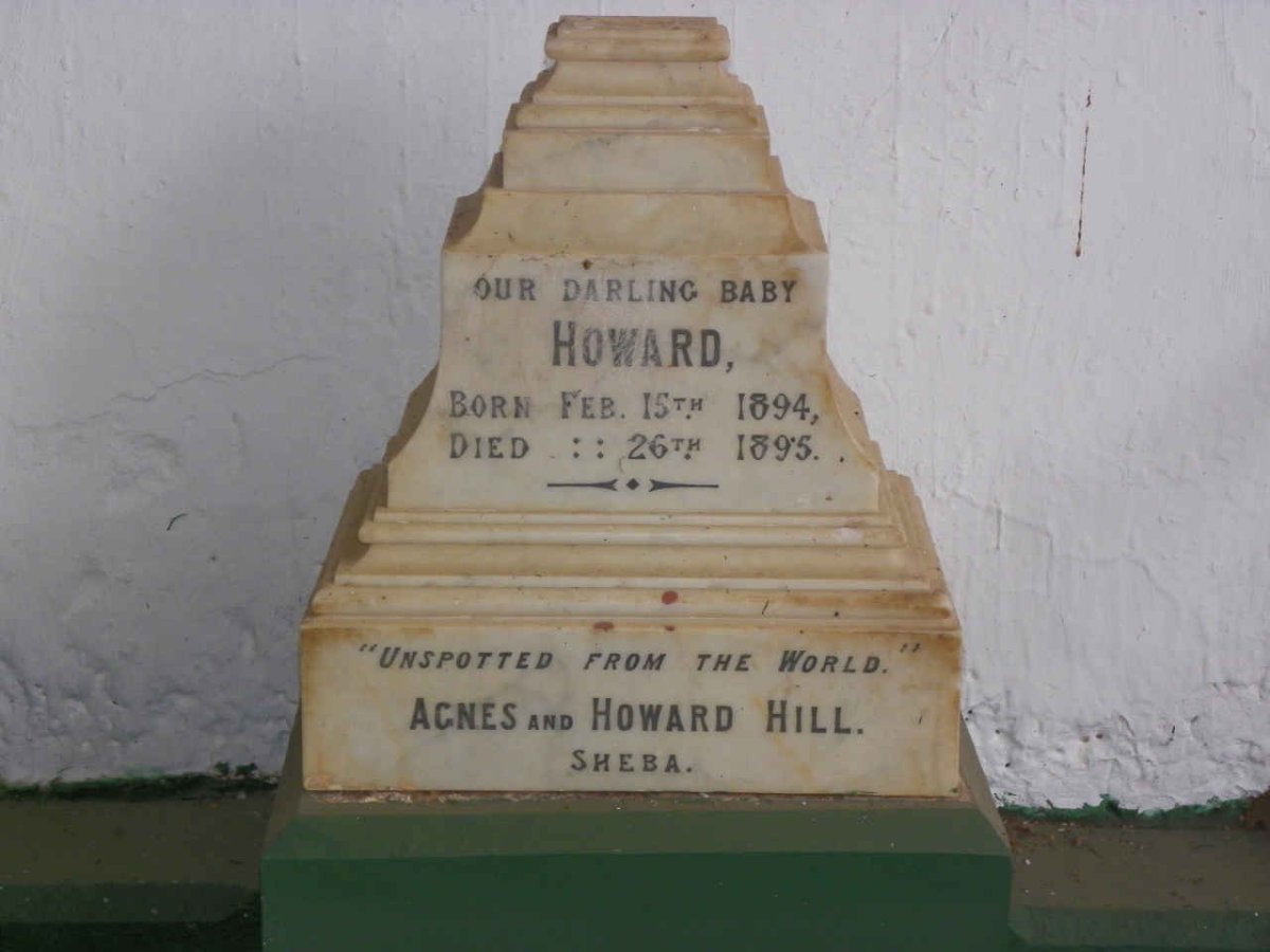HILL Howard 1894-1895