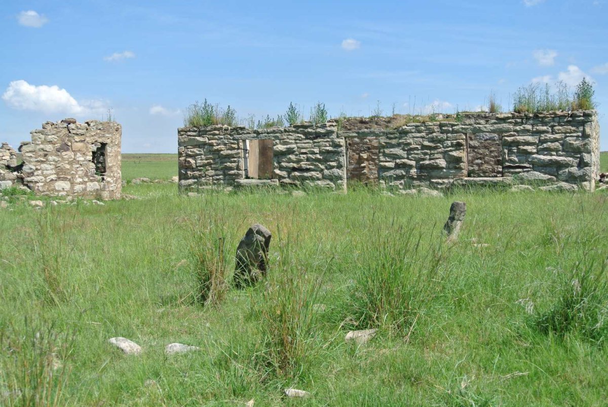 5. Overview