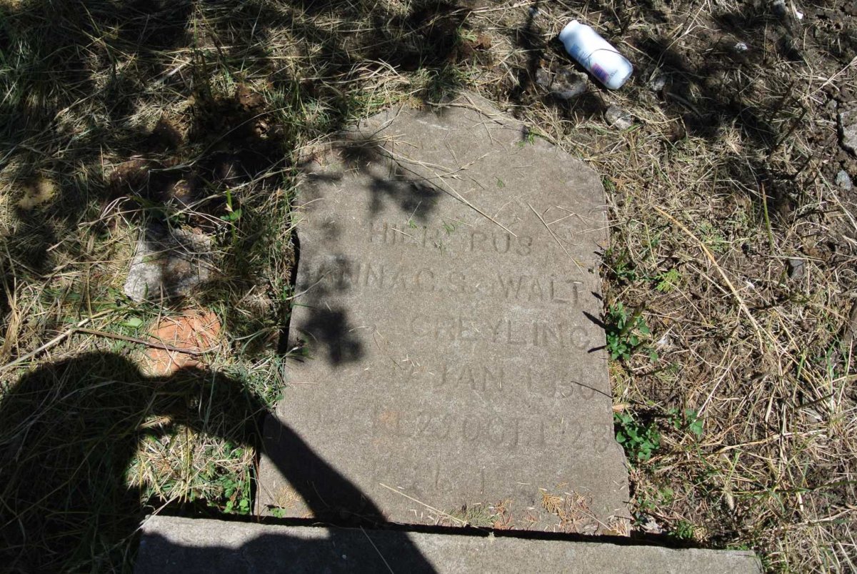 WALT Anna C.S. nee GREYLING, v.d. 1856-1928