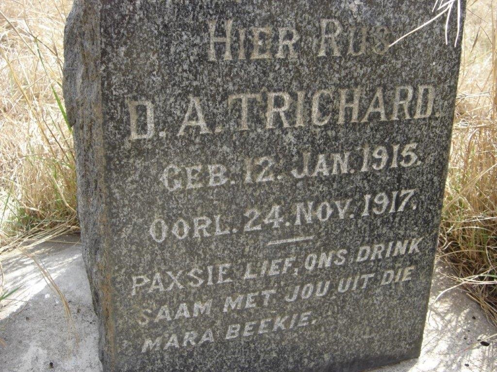 TRICHARD D.A. 1915-1917