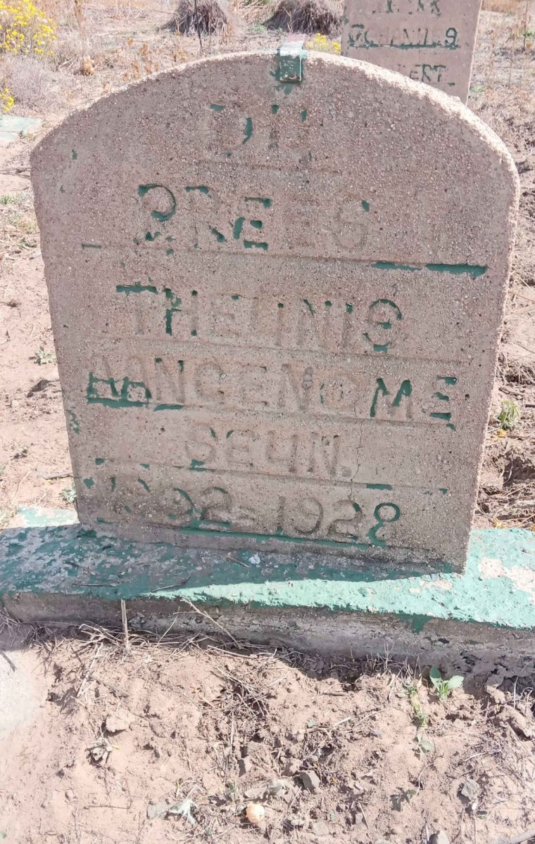 PREES Theunis, du 1902-1928