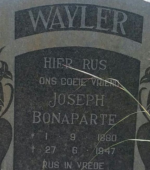 WAYLER Joseph Bonaparte 1880-1947