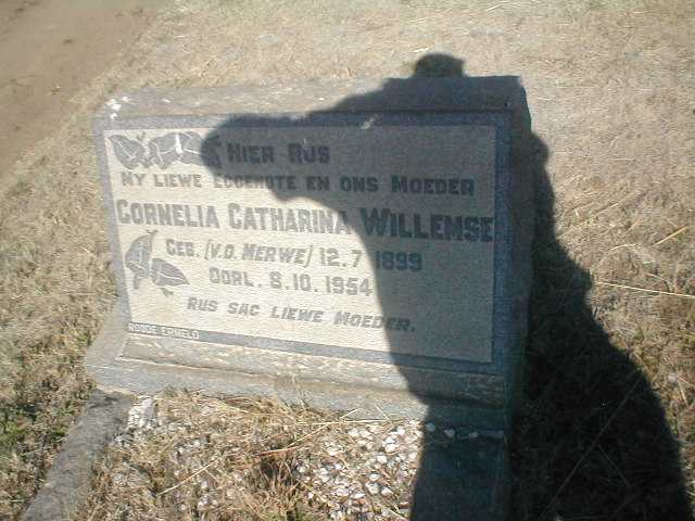 WILLEMSE Cornelia Catharina geb. VAN DER MERWE 1899-1954
