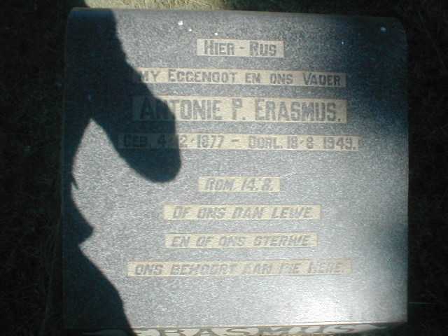 ERASMUS Antonie P. 1877-1949