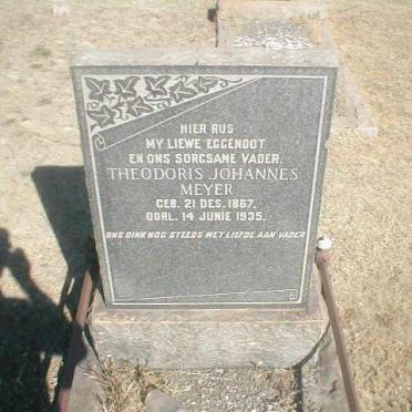 MEYER Theodoris Johannes 1867-1935