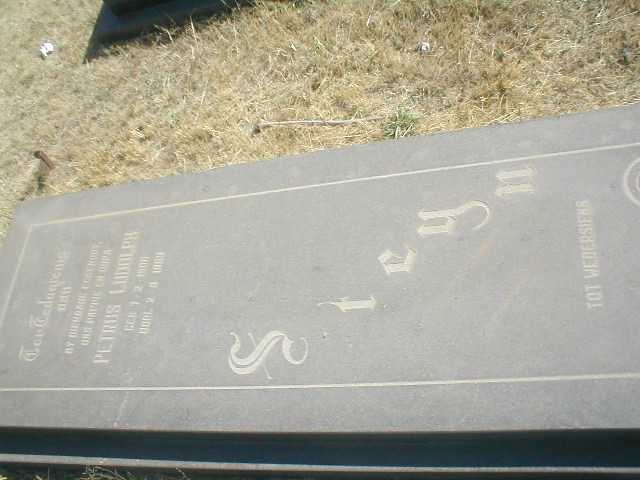 STEYN Petrus Ludolph 1906-1969