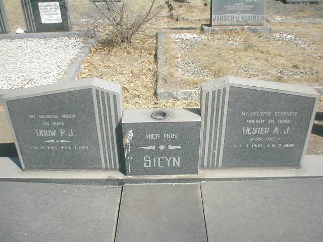 STEYN Douw P.J. 1905-1990 &amp; Hester A.J. DU TOIT 1905-1988