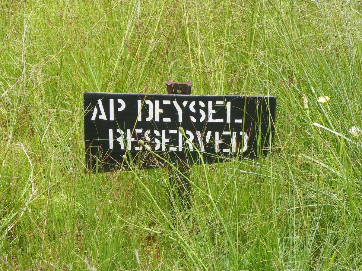 DEYSEL A.P.