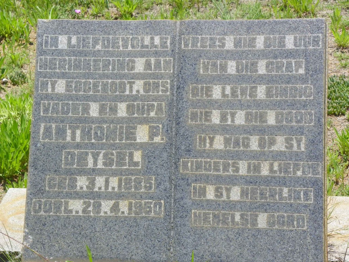 DEYSEL Anthonie P. 1885-1950