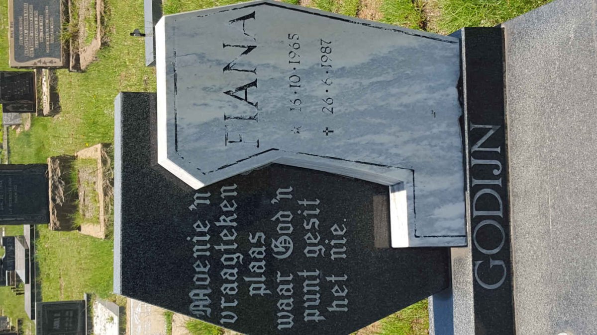 GODIJN Fiana 1965-1987