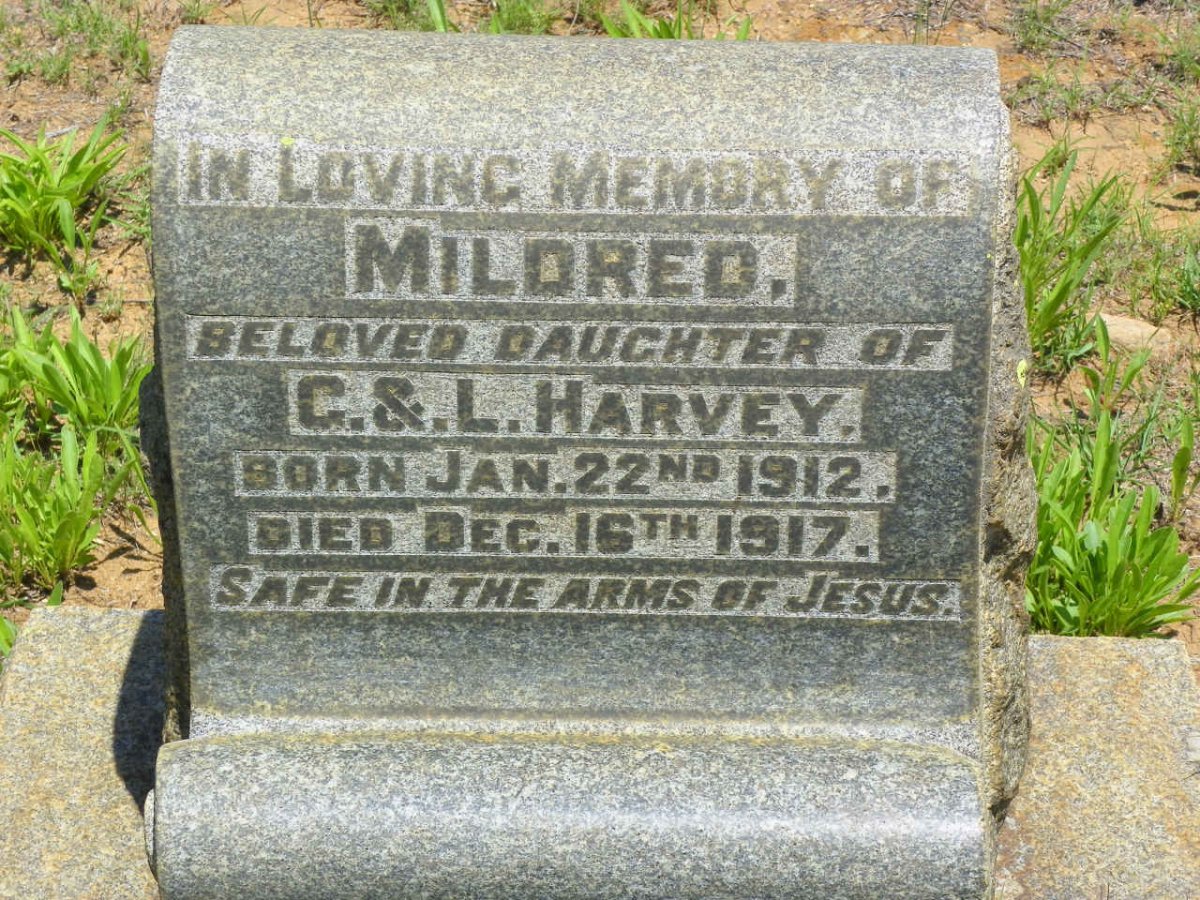HARVEY Mildred 1912-1917
