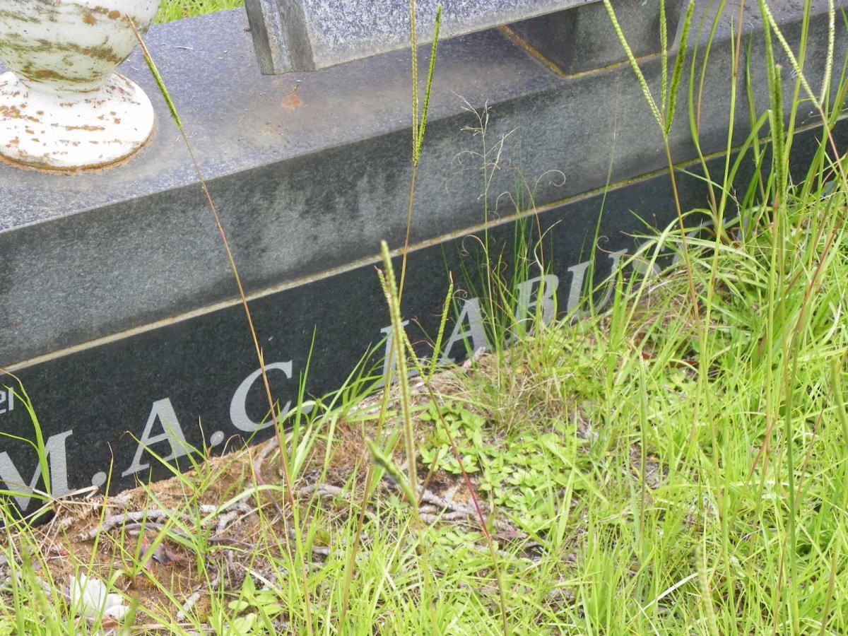 LABUSCHAGNE M.A.C. 1925-1999