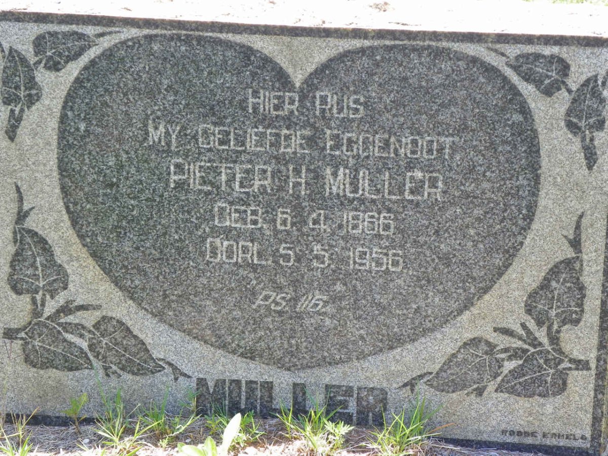 MULLER Pieter H. 1866-1956