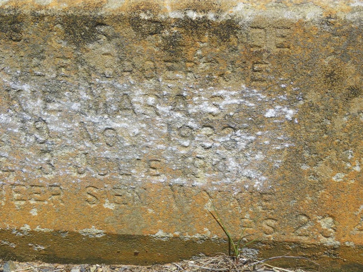 MARAIS Wykie 1933-1941